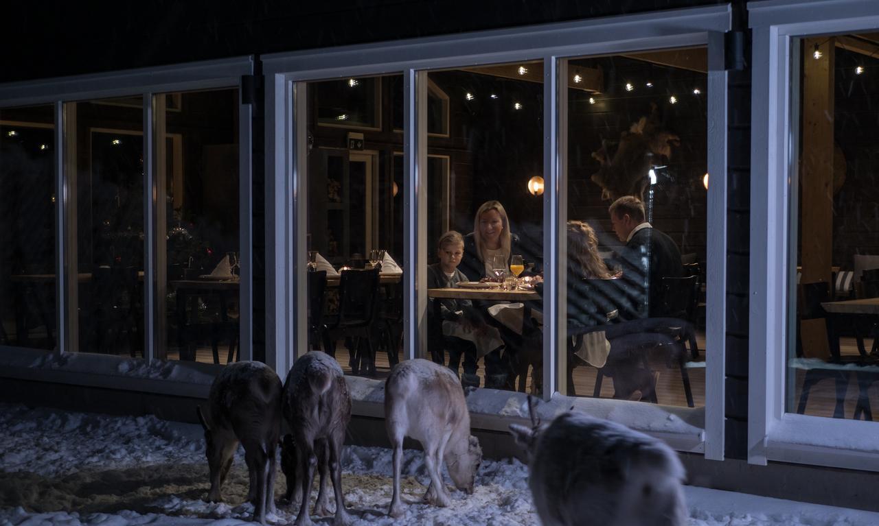 Northern Lights Ranch Levi Eksteriør billede
